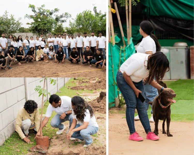 रत्नाकर ग्रुप ने बार्कविले फाउंडेशन के साथ मिलाया हाथ, परित्यक्त और दुर्व्यवहार के शिकार जानवरों के लिए बनाएंगे ग्रीन ओएसिस